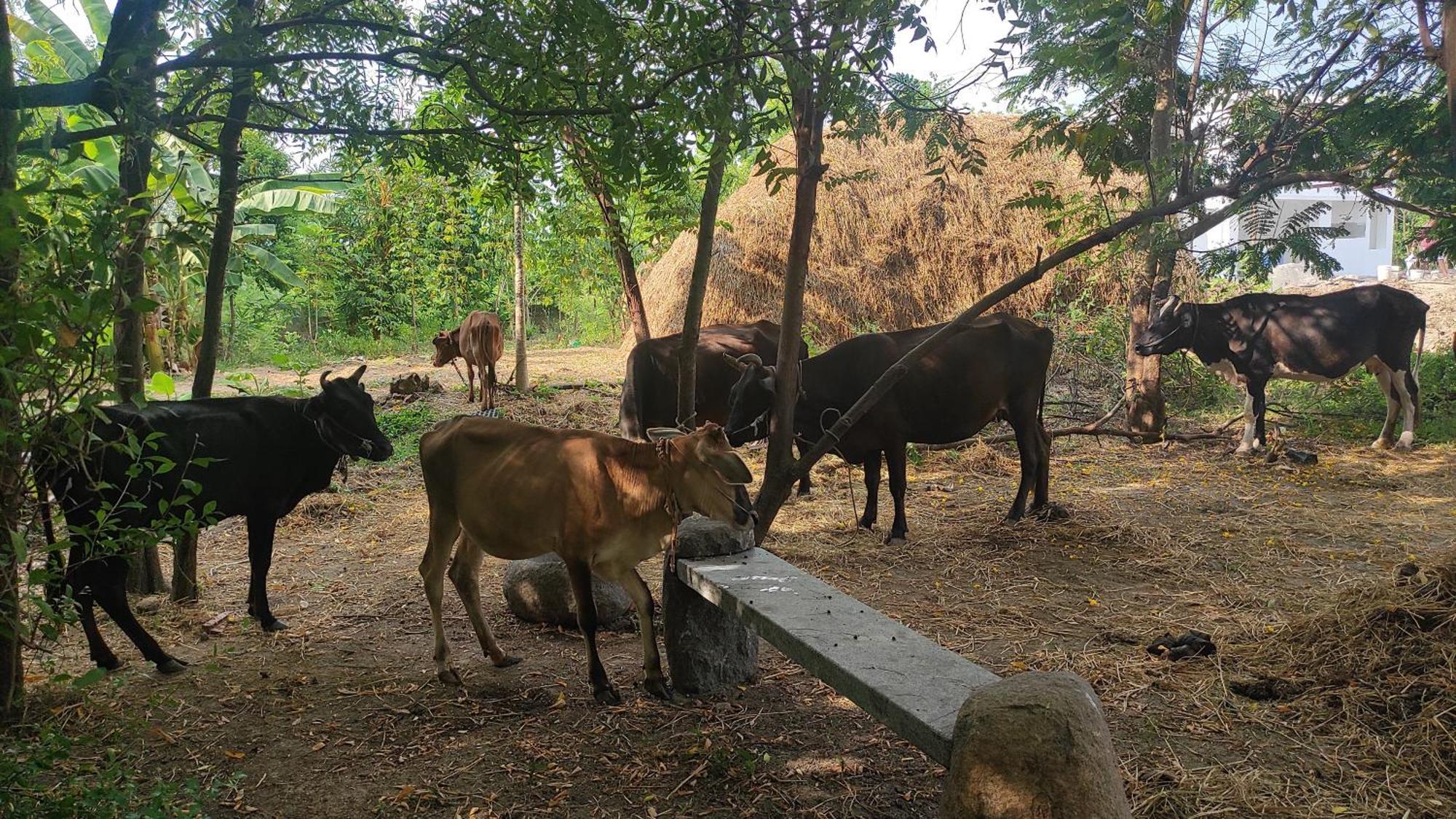 Vaksana Farm Stay Gudraippattu 외부 사진