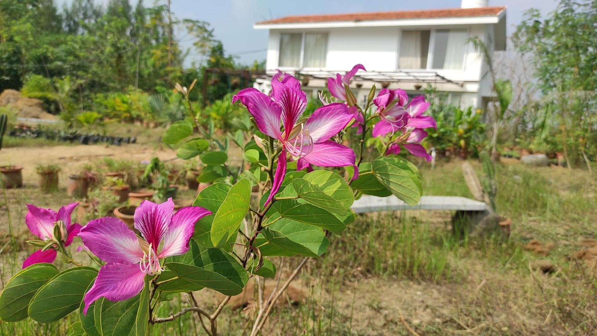 Vaksana Farm Stay Gudraippattu 외부 사진