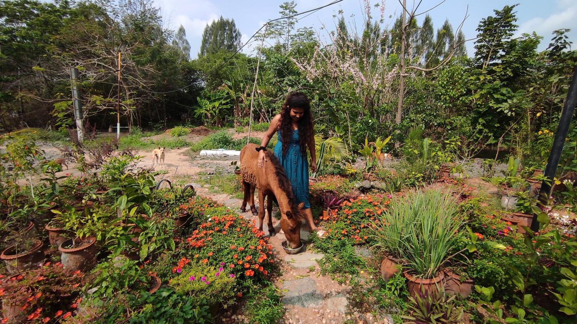 Vaksana Farm Stay Gudraippattu 외부 사진
